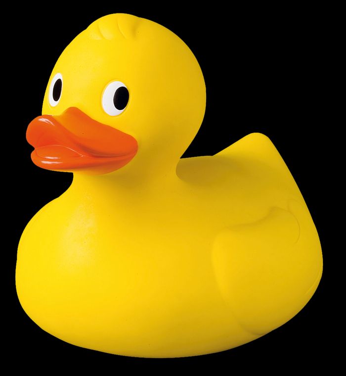 Rubber duck